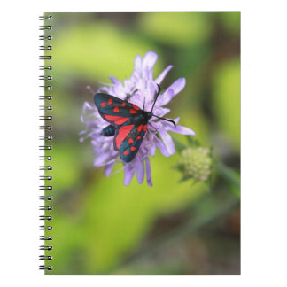 Caderno Espiral Linda Mama