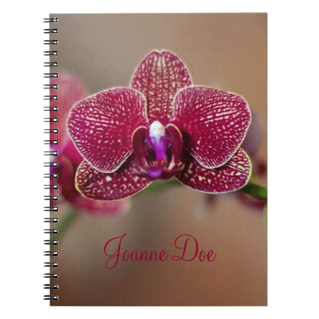 Caderno Espiral Linda Orquídea Vermelha (Frente)