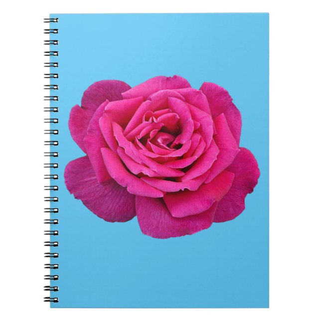 Caderno Espiral Linda rosa rosa (Frente)