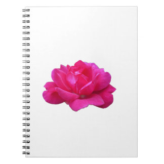 Caderno Espiral linda rosa rosa única