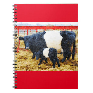 Caderno Espiral Linda vaca galloway cinta e aquarela de vitelo