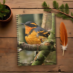 Caderno Espiral Linda variedade de sabiá-lo na árvore