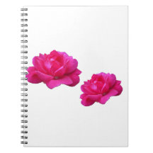 Lindas flores cor-de-rosa duplas