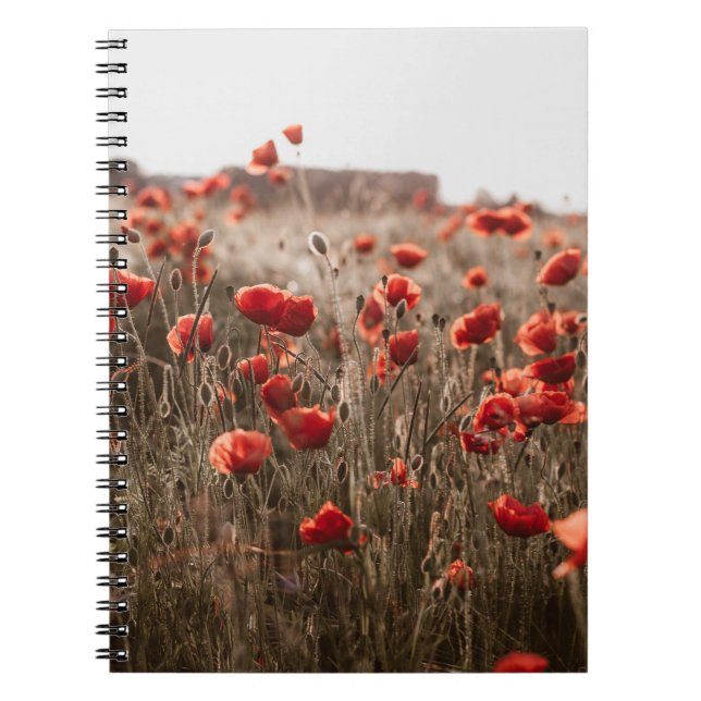 Caderno Espiral lindas flores de papoila (Frente)