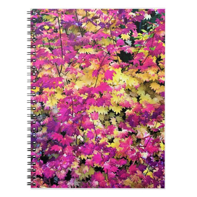 Caderno Espiral Lindas Folhas (Frente)