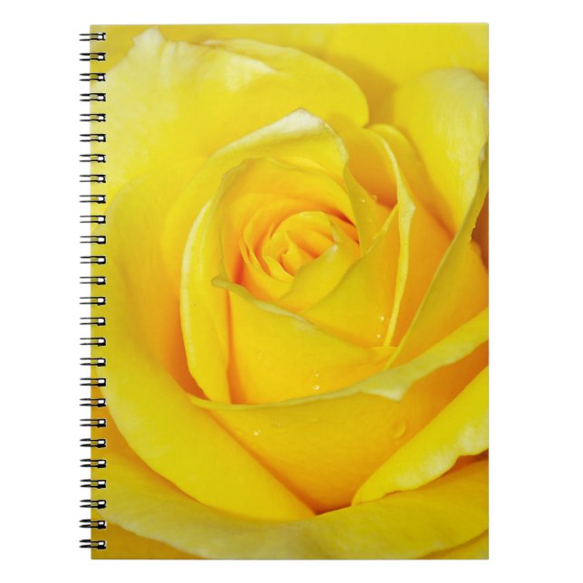Caderno Espiral Lindas pétalas de rosa amarela (Frente)
