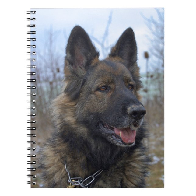 Caderno Espiral lindo cachorrinho preto e German shepherd bronzead (Frente)