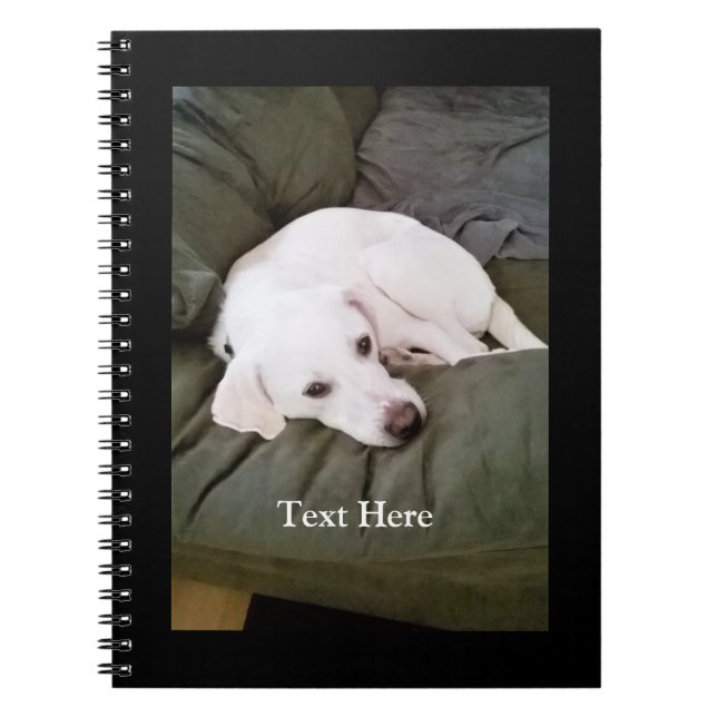 Caderno Espiral Lindo Cachorro Branco Cansado Mistura de Retriever (Frente)