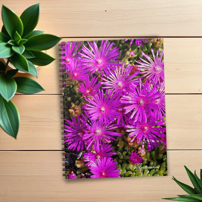 Caderno Espiral Lindos Eceplas Roxos (Purple Iceplants Journal Cover Photo)