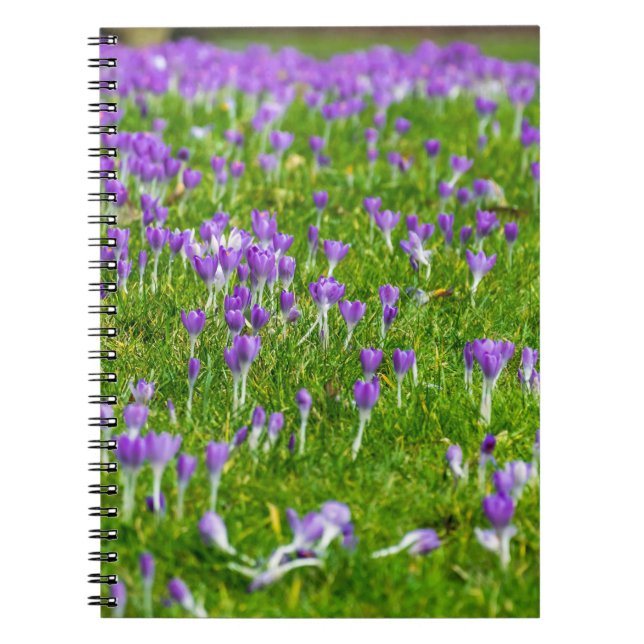 Caderno Espiral Linguado roxo flores (Frente)