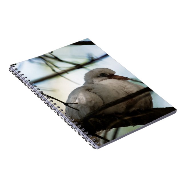 Caderno Espiral Linha mestre (Lado Direito)