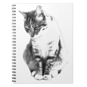 Caderno Espiral Linhas de tolerância silenciosa