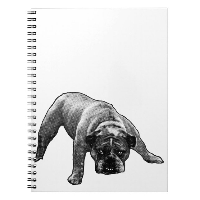 Caderno Espiral Linhas, Listas, Buldogue (Frente)