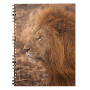 CADERNO ESPIRAL LÍON DE MANCHA LONGA