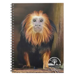 Caderno Espiral Lion Tamarin de ouro