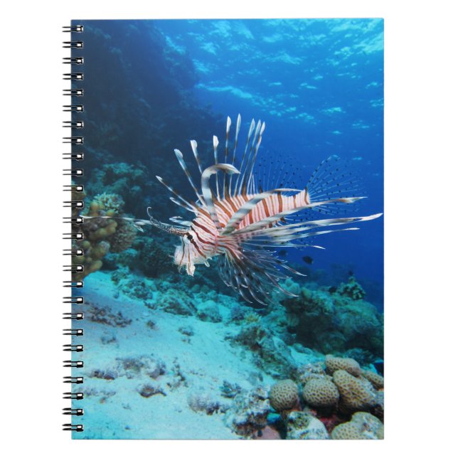 Caderno Espiral Lionfish ou Pterois Miles, Peixes de Recife do Oce (Frente)