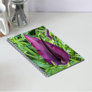 Caderno Espiral Lírio Dragão Roxo Florido