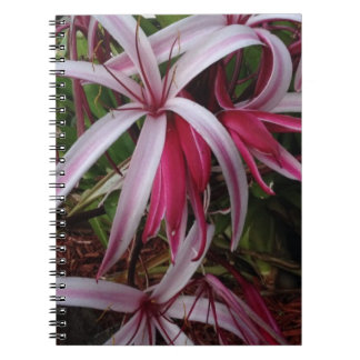 Caderno Espiral Lírio roxo de Crinum da rainha Emma