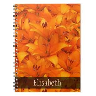 Caderno Espiral Lírios alaranjados do jardim da foto da flor algu