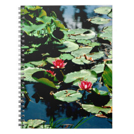 Caderno Espiral Lírios de água