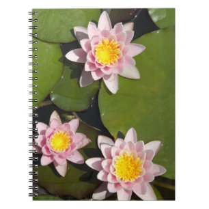 Caderno Espiral Lírios de água