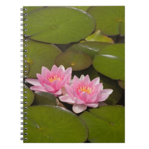 Caderno Espiral Lírios de água floridos