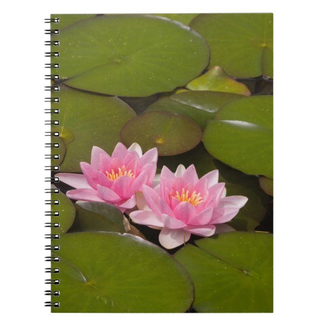 Caderno Espiral Lírios de água floridos (Frente)