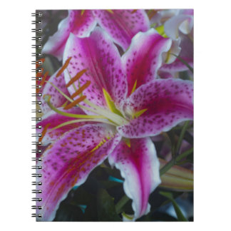 Caderno Espiral Lírios do Stargazer cor-de-rosa e flores magentas