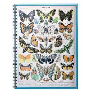 Caderno Espiral Lista de Borboletas Adolphe Millot
