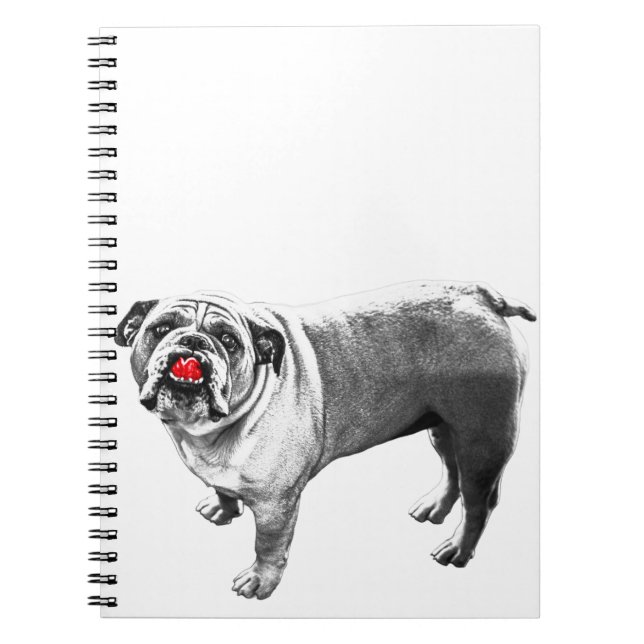 Caderno Espiral Listas ao Lado do Vermelho Cheque (Frente)