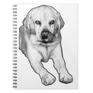 Caderno Espiral Listas com um piscar de olhos de Lab