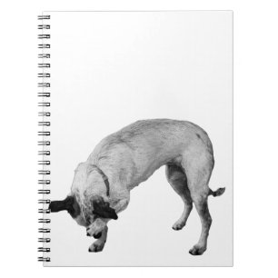 Caderno Espiral Listas Secretas Terrier