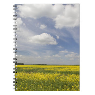 Caderno Espiral Lituânia, Lituânia Central, Joniskis, campo de