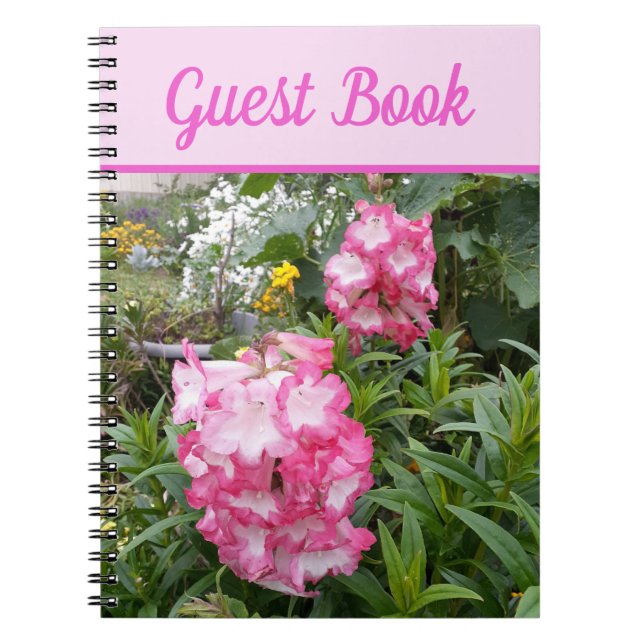 Caderno Espiral Livro Convidado Penstemon Flor Rosa Lindo (Frente)