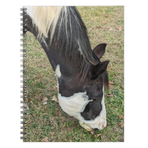 Caderno Espiral Livro de anotações sobre cavalos