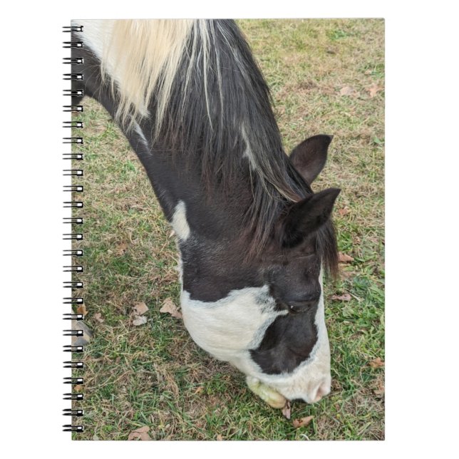 Caderno Espiral Livro de anotações sobre cavalos (Frente)