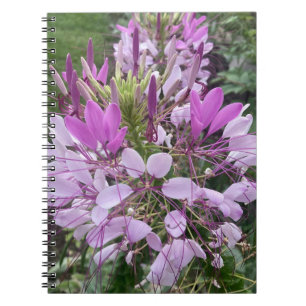 Caderno Espiral Livro de anotações sobre flores roxas