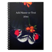 Livro de Fotografias da Borboleta