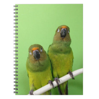 Caderno Espiral Livro de nota verde de Conure