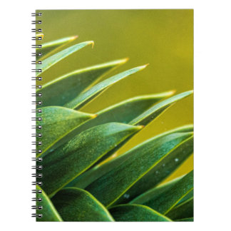 Caderno Espiral Livro de Notas