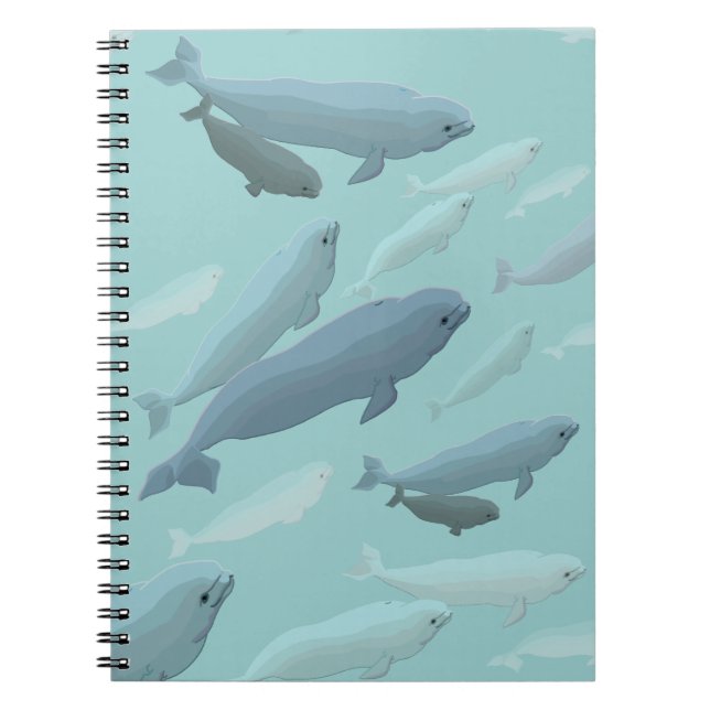 Caderno Espiral Livro Diário de Arte de Baleia de Baleias Beluga (Frente)