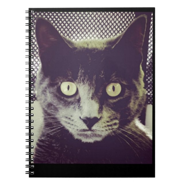 Caderno Espiral Livro do Bender Note (Frente)