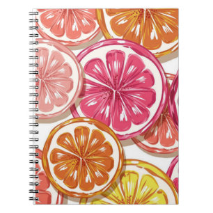 Caderno Espiral livro não destinado à escola