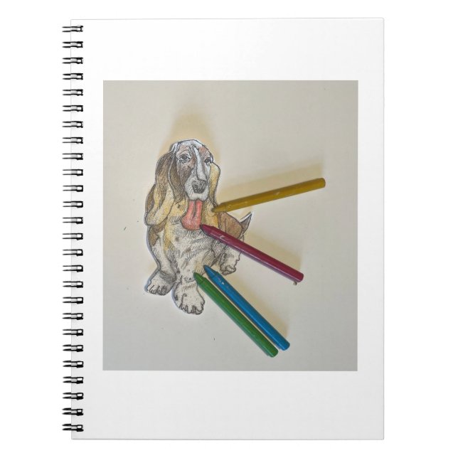 Caderno Espiral Livros de Nota de Bassie (Frente)