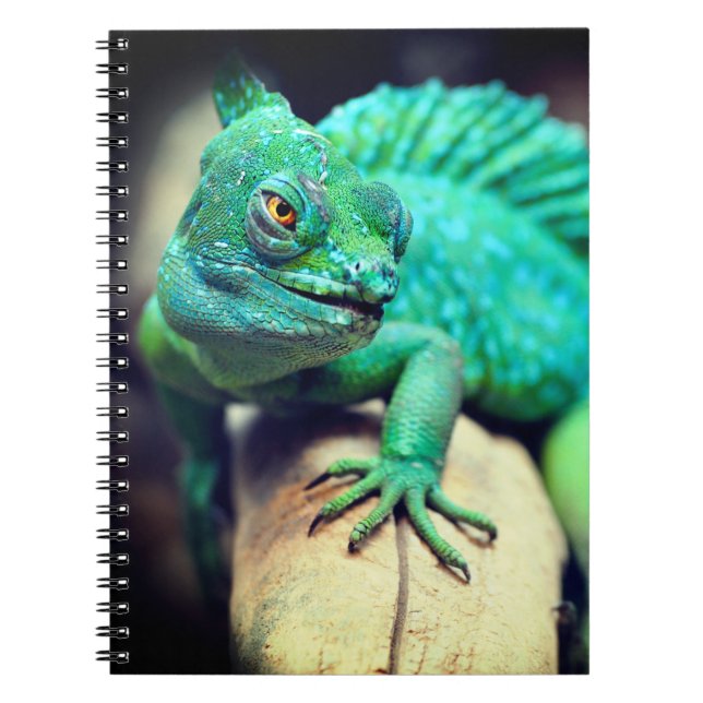 Caderno Espiral Lizard (Frente)