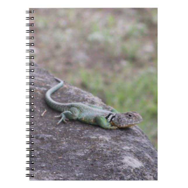 Caderno Espiral Lizard (Frente)