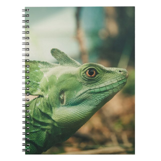 Caderno Espiral Lizard veja a visão de perto (Frente)