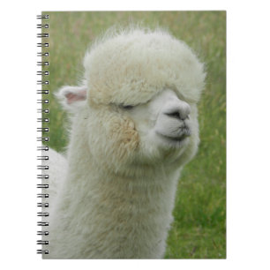 Caderno Espiral Llama