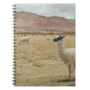 CADERNO ESPIRAL LLAMA BRANCO NA GRAMA MARCADA