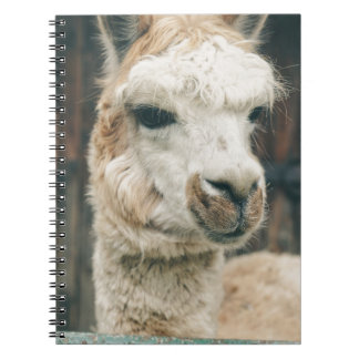 Caderno Espiral Llama Close Up